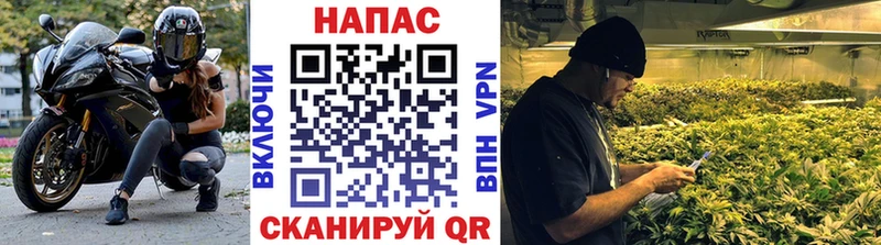 Купить где  Мосальск  Канабис планчик 